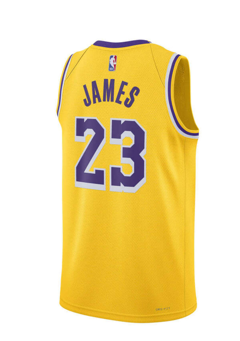 Lebron James LA Lakers Nike Icon Edition NBA Jersey-Adult