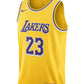 Lebron James LA Lakers Nike Icon Edition NBA Jersey-Adult